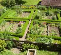 Jardin médiéval à créer vous-même : les caractéristiques essentielles (2)