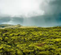 Voyager en Islande – pourquoi visiter ce mystérieux pays (2)