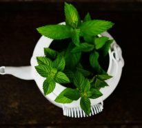 Thé à la menthe – quels sont les bienfaits pour la santé (1)