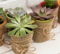 DIY : des idées pour personnaliser les pots de fleurs (1)