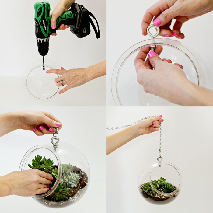 étaper comment faire un terrarium avec une plante succulente