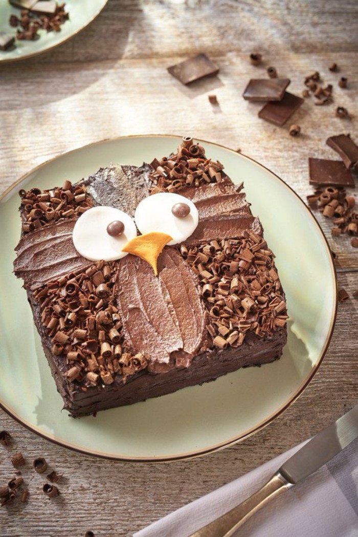 idée décoration gâteau hibou chocolat