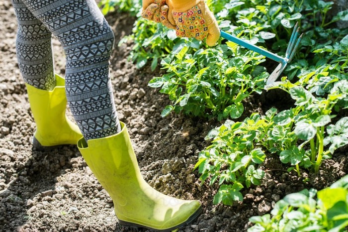 entraîner vos pieds avec des outils jardinage
