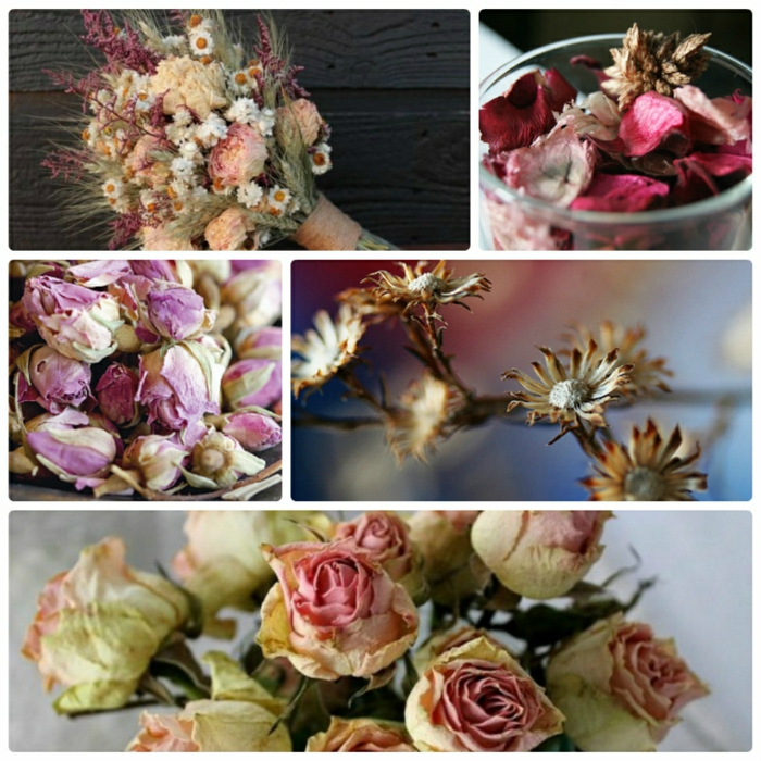fleurs séchées - décoration originale et facile à faire