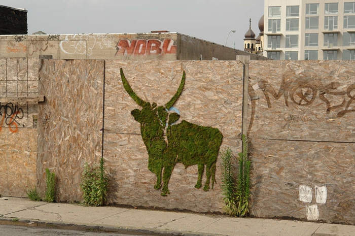 graffiti animal mousse végétale