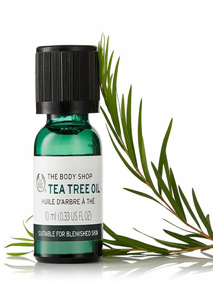 Чайное дерево в косметике. Чайное дерево. Tea Tree Oil. The body shop Tea Tree. Масло чайного дерева.