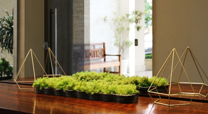 idée déco mousse végétale décoration de table salle à manger