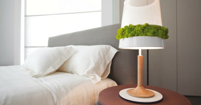 lampe de chevet décorée de mousse végétale