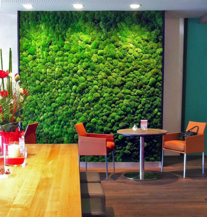 mur végétal mousse végétale mur café