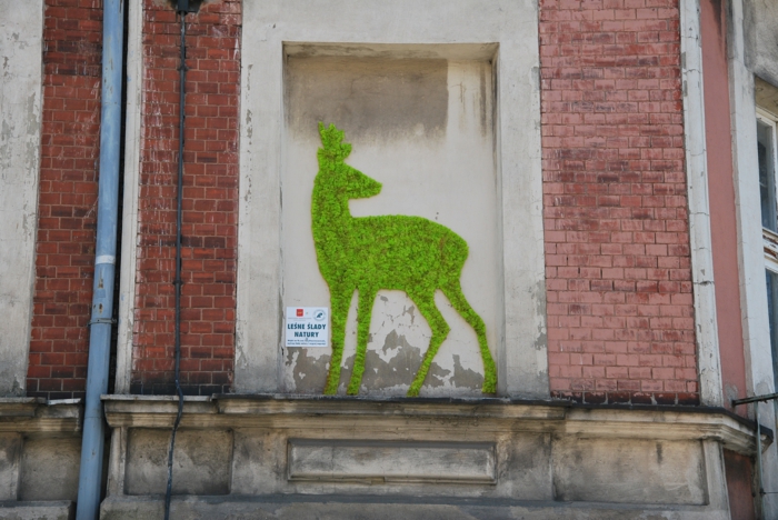 street art renne mousse végétale