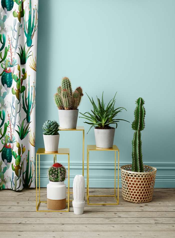 décoration mexicaine avec cactus