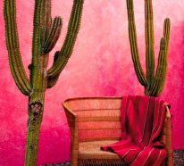 Décoration mexicaine : comment apporter une ambiance latino chez vous (3)