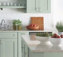 Idées pour armoires de cuisine en couleurs – ambiance conviviale (3)