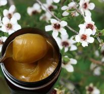 Miel de manuka : quelles sont les vertus de ce nectar curatif (2)
