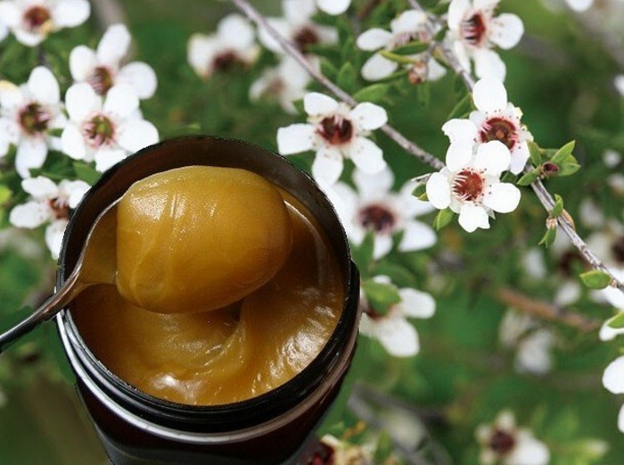 miel de manuka pour être en bonne santé