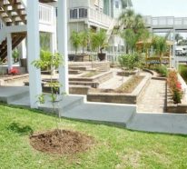 Aménagement jardin en pente douce: comment profiter du déclin du terrain (3)
