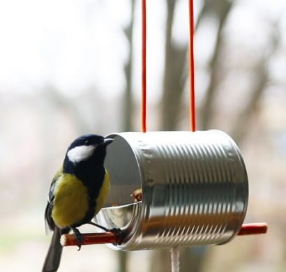 RÃ©sultat de recherche d'images pour "mangeoire oiseaux"