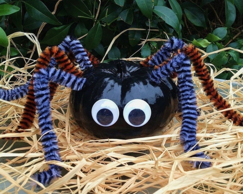 diy araignée halloween décoration citrouille