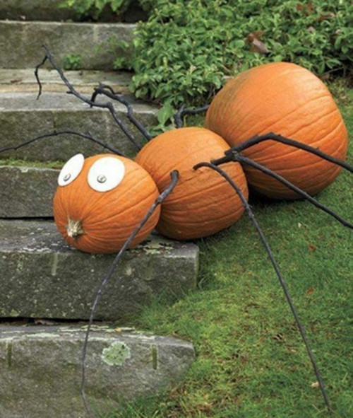 diy araignée pour le jardin halloween décoration citrouille