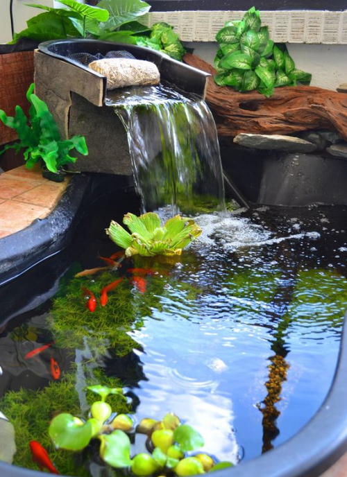 déco jardin fontaine petit lac avec des plantes aquatiques