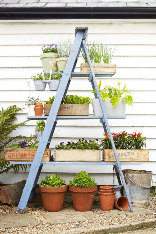 décoration jardinière extérieure échelle adaptée aux jardinières