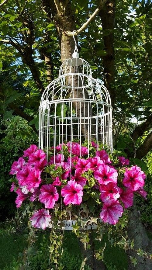 décorer le jardin avec objets de récupération cage à oiseaux pendue