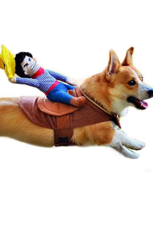 idée déguisement Halloween poupée sur le dos du chien