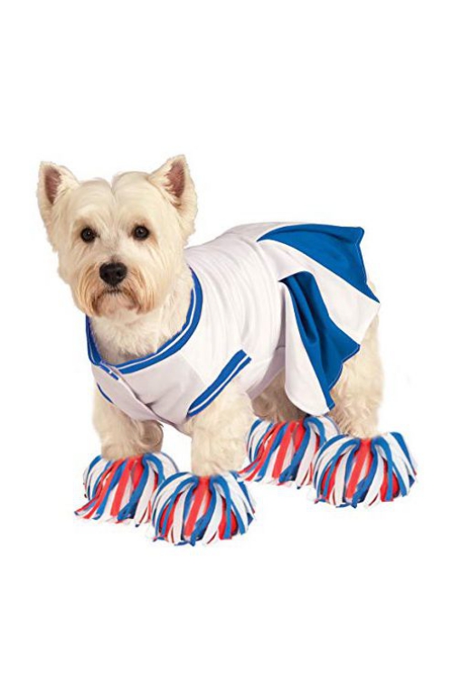 idée déguisement Halloween robe pour chien en blanc et bleu