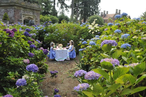jardin anglais coin romantique parmi la végétation