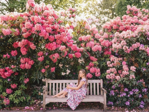 jardin anglais joli coin fleuri