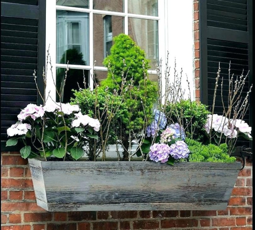 jardinière balcon fleurs et arbustes