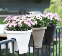 Jardinière balcon pour que vos plantes se sentent bien (2)