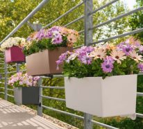 Jardinière balcon pour que vos plantes se sentent bien (4)