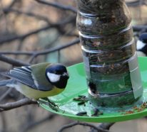 Mangeoire oiseaux : idées DIY à réaliser facilement (4)
