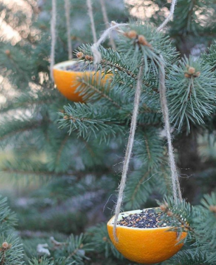 mangeoire oiseaux idée avec des oranges