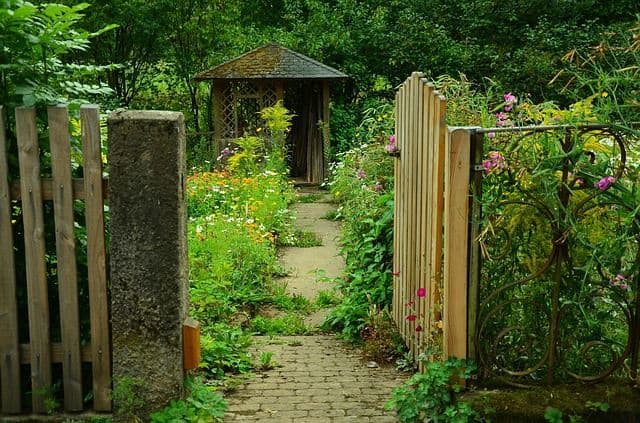 portillon jardin sentier envahi par la végétation