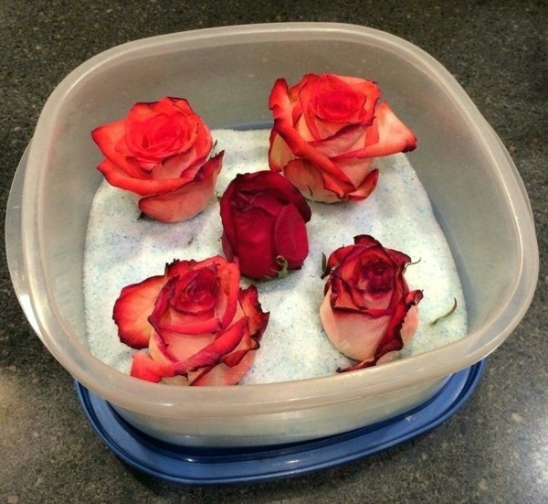 comment conserver une rose gel de silice