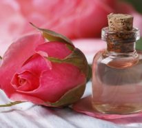 Comment conserver une rose : les méthodes pour avoir une fleur éternelle (1)
