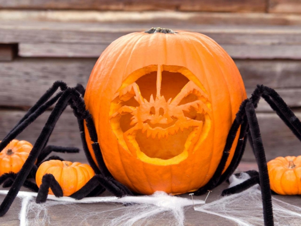 creuser une citrouille pour halloween grande araignée