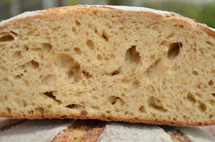pain farine d'amarante par quoi remplacer la farine de blé