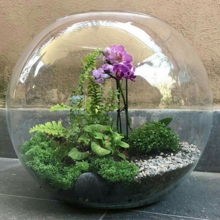 terrarium une sphère en verre