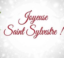 Réveillon Saint-Sylvestre : conseils pour organiser une fin d’année canon (1)