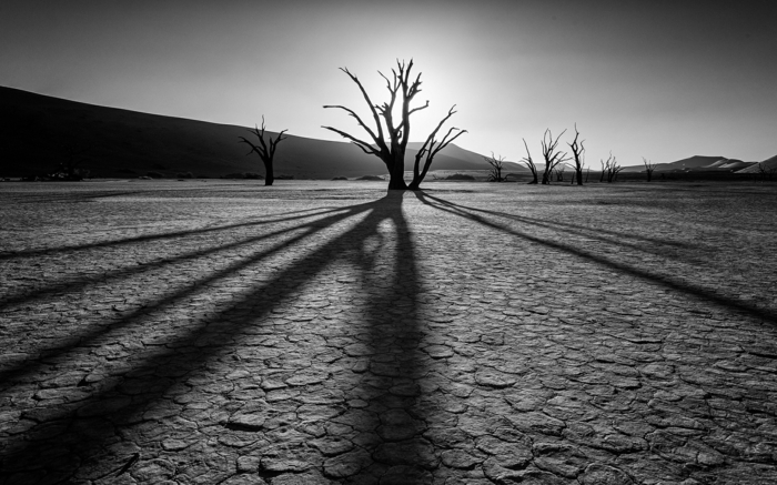 photographie noir et blanc désert