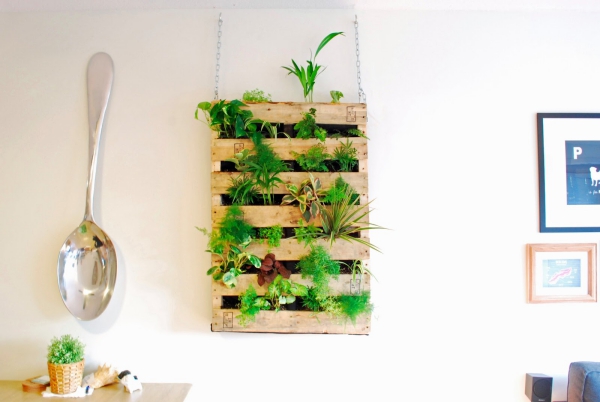 mur végétal palette accrochage à l’aide de chaînes