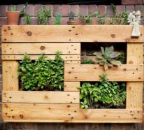 Mur végétal palette dans le salon : bonne solution pour les plantes en hiver (2)