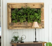 Mur végétal palette dans le salon : bonne solution pour les plantes en hiver (3)