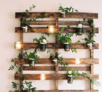 Mur végétal palette dans le salon : bonne solution pour les plantes en hiver (1)