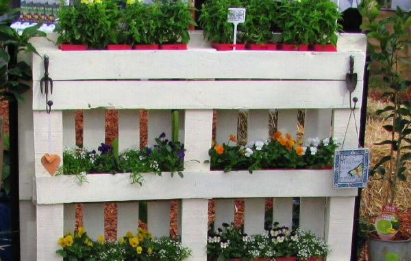 mur végétal palette trois niveaux