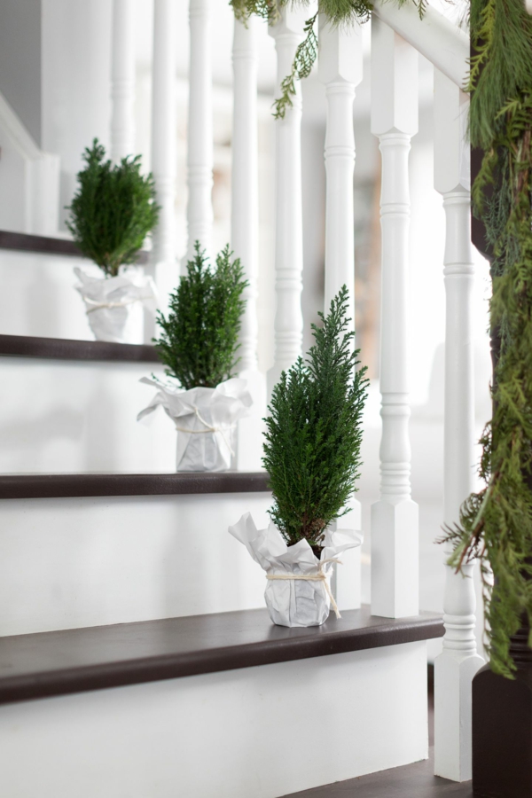 décoration escalier noël plantes en pots