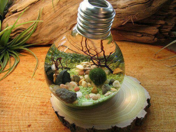idée déco plante aquatique ampoule électrique
